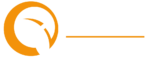 Noctua Creativity